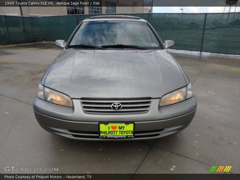 Antique Sage Pearl / Oak 1999 Toyota Camry XLE V6
