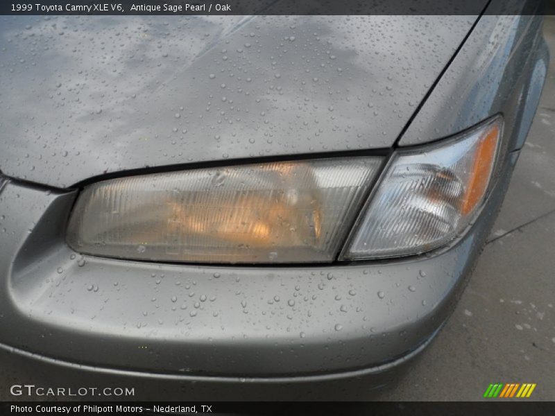 Antique Sage Pearl / Oak 1999 Toyota Camry XLE V6