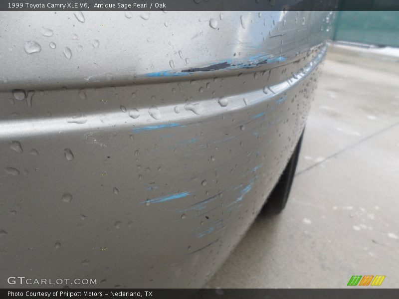 Antique Sage Pearl / Oak 1999 Toyota Camry XLE V6