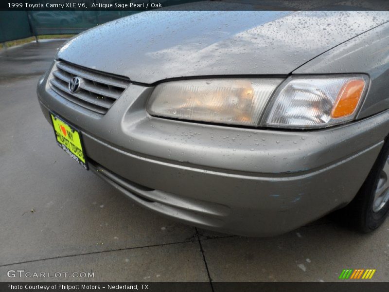 Antique Sage Pearl / Oak 1999 Toyota Camry XLE V6