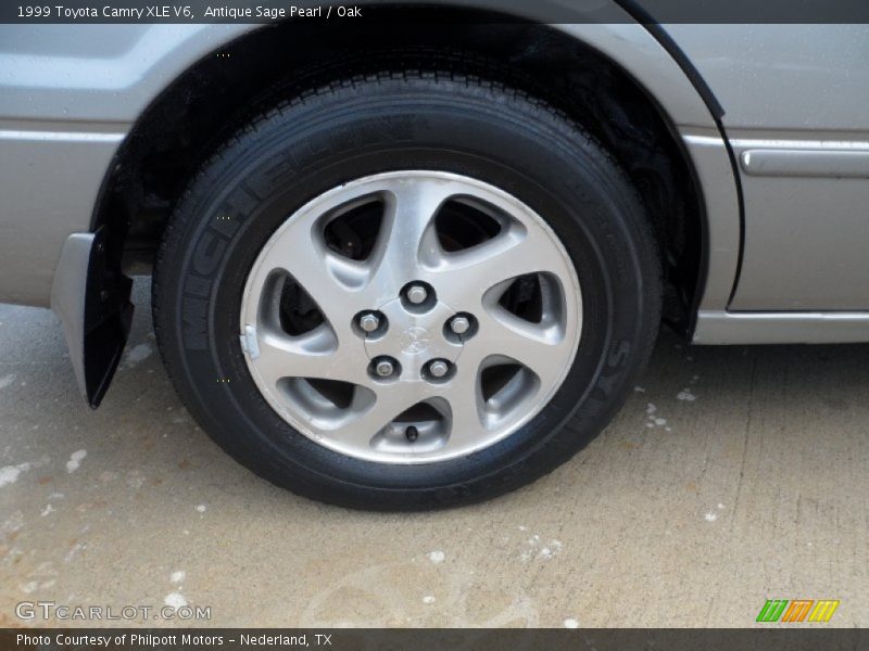 Antique Sage Pearl / Oak 1999 Toyota Camry XLE V6