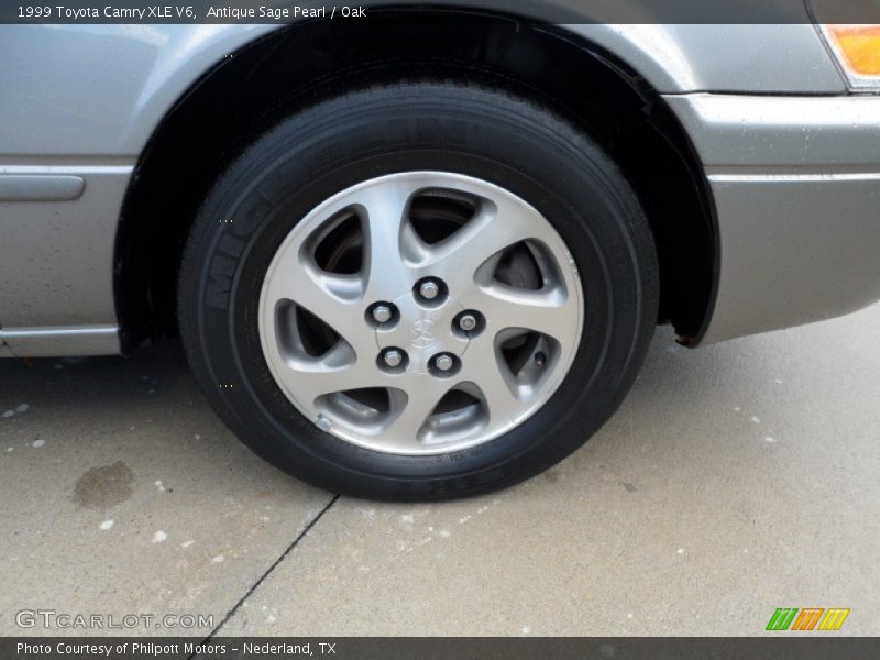 Antique Sage Pearl / Oak 1999 Toyota Camry XLE V6