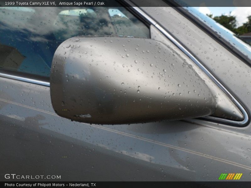 Antique Sage Pearl / Oak 1999 Toyota Camry XLE V6