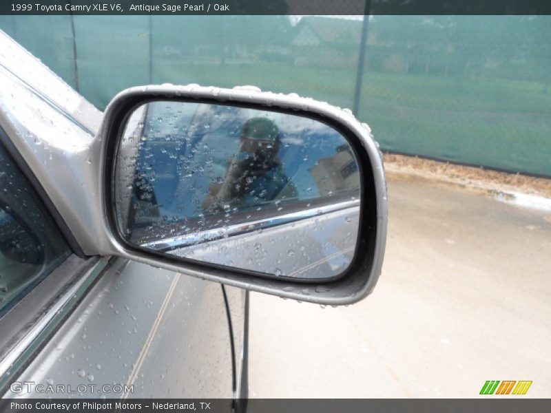 Antique Sage Pearl / Oak 1999 Toyota Camry XLE V6