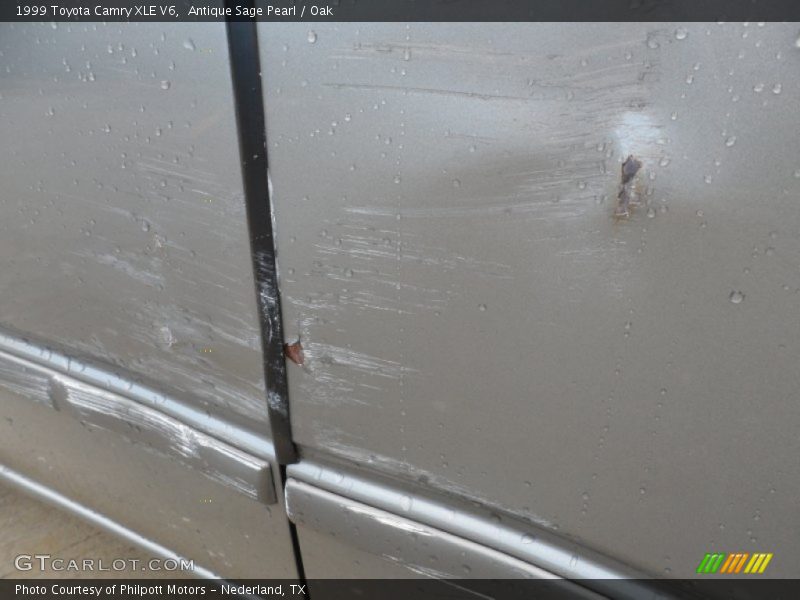Antique Sage Pearl / Oak 1999 Toyota Camry XLE V6