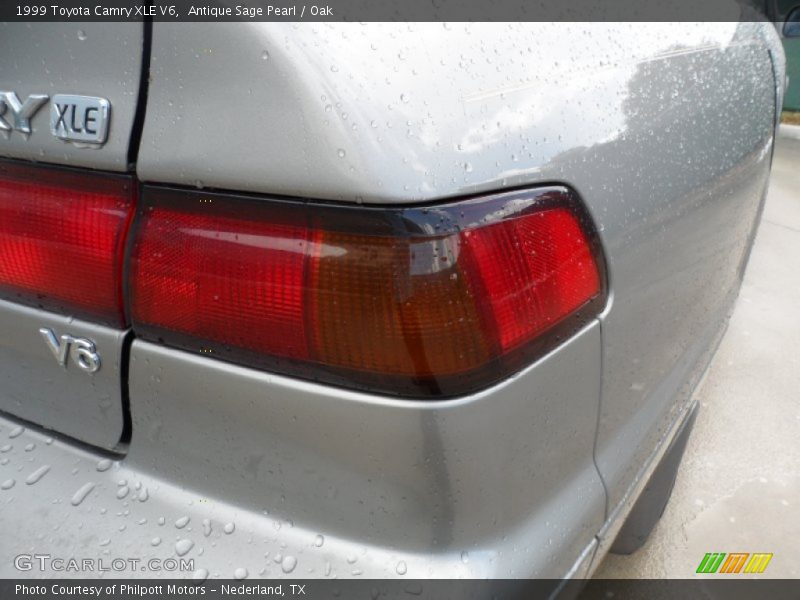 Antique Sage Pearl / Oak 1999 Toyota Camry XLE V6
