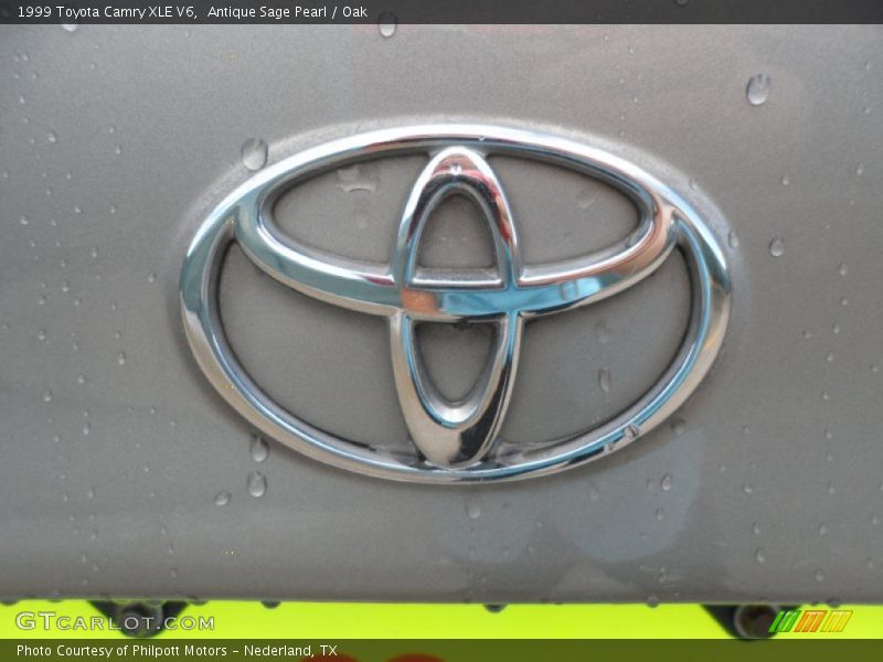 Antique Sage Pearl / Oak 1999 Toyota Camry XLE V6