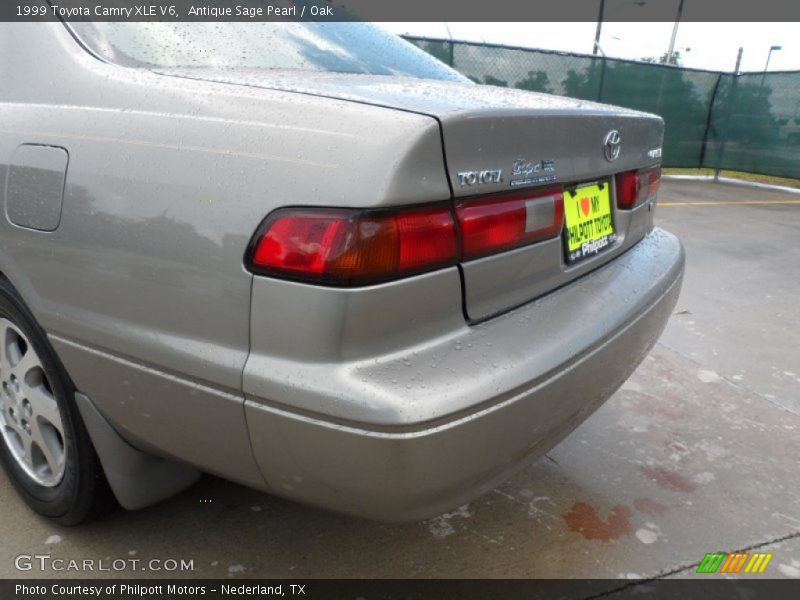Antique Sage Pearl / Oak 1999 Toyota Camry XLE V6