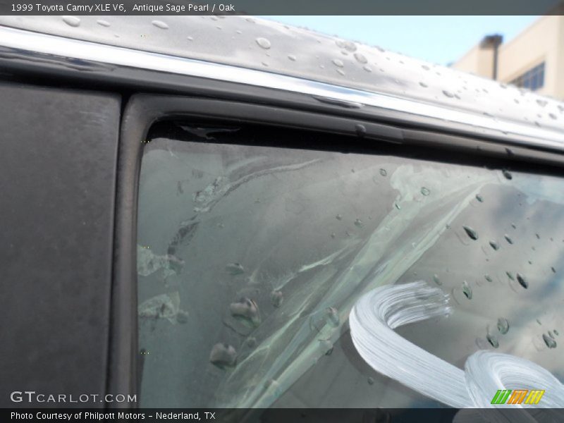 Antique Sage Pearl / Oak 1999 Toyota Camry XLE V6