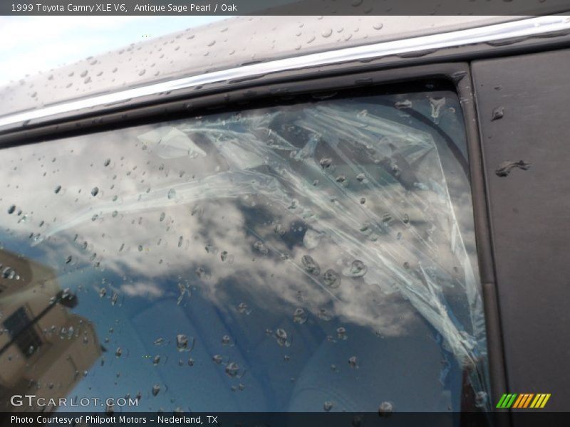 Antique Sage Pearl / Oak 1999 Toyota Camry XLE V6