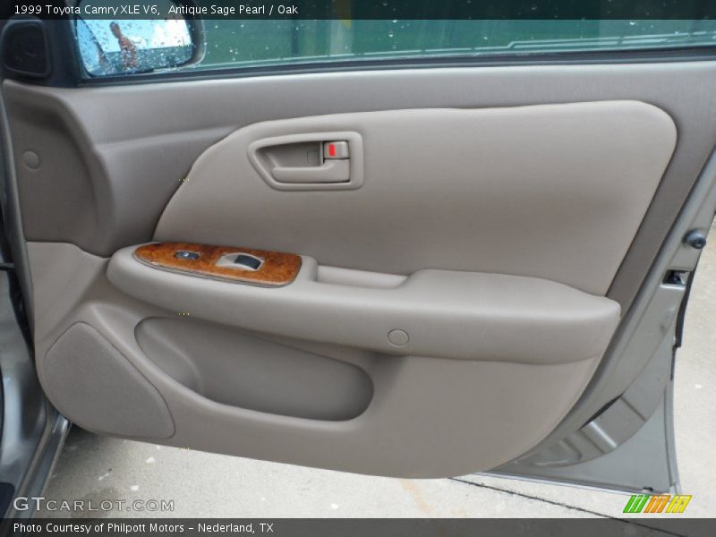 Door Panel of 1999 Camry XLE V6