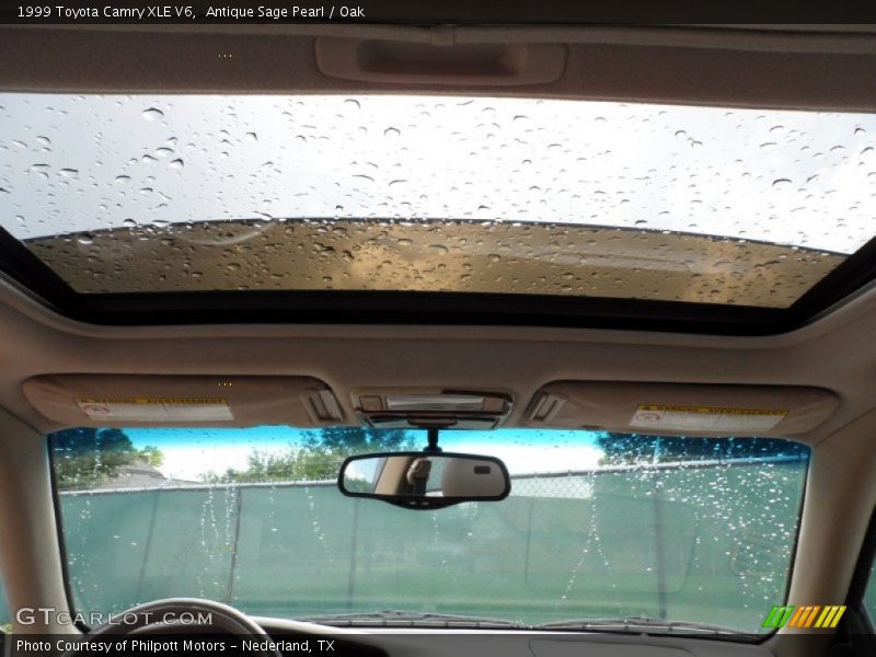 Antique Sage Pearl / Oak 1999 Toyota Camry XLE V6