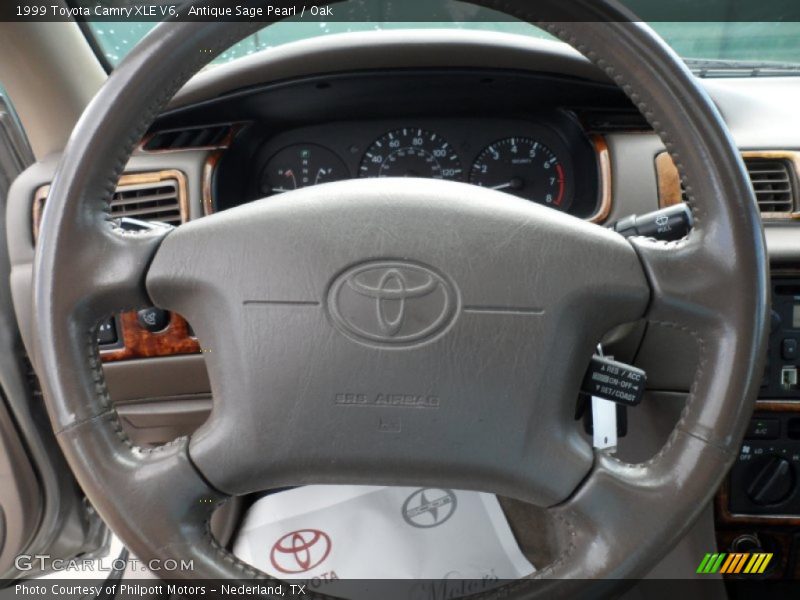 Antique Sage Pearl / Oak 1999 Toyota Camry XLE V6