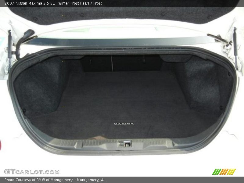 Winter Frost Pearl / Frost 2007 Nissan Maxima 3.5 SE