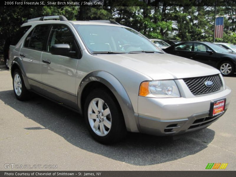 Silver Birch Metallic / Shale Grey 2006 Ford Freestyle SE