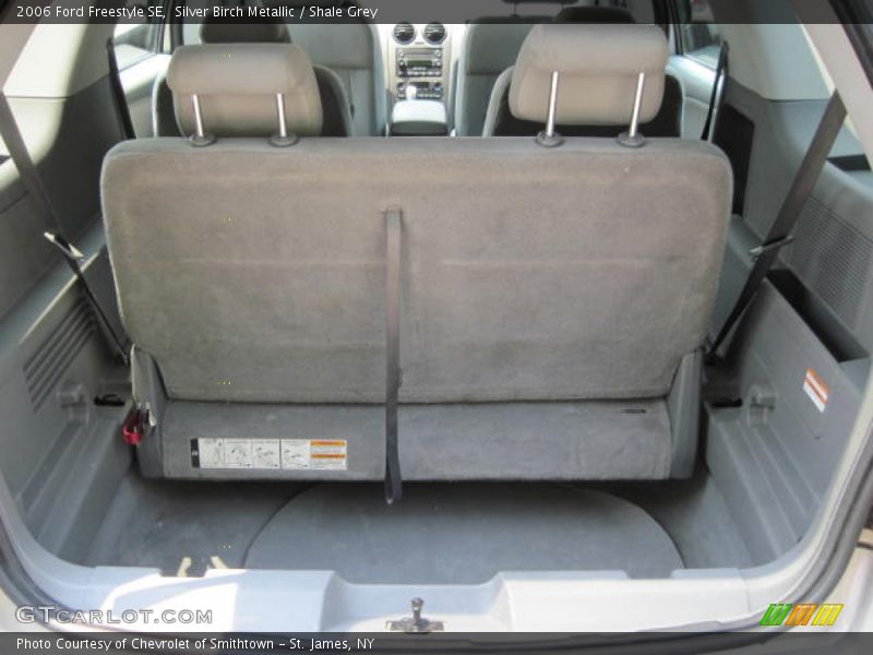 Silver Birch Metallic / Shale Grey 2006 Ford Freestyle SE