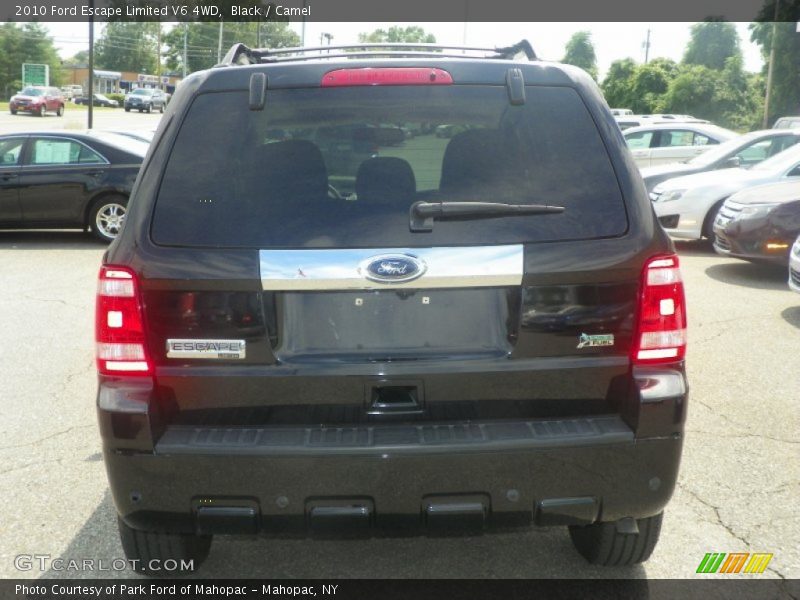 Black / Camel 2010 Ford Escape Limited V6 4WD