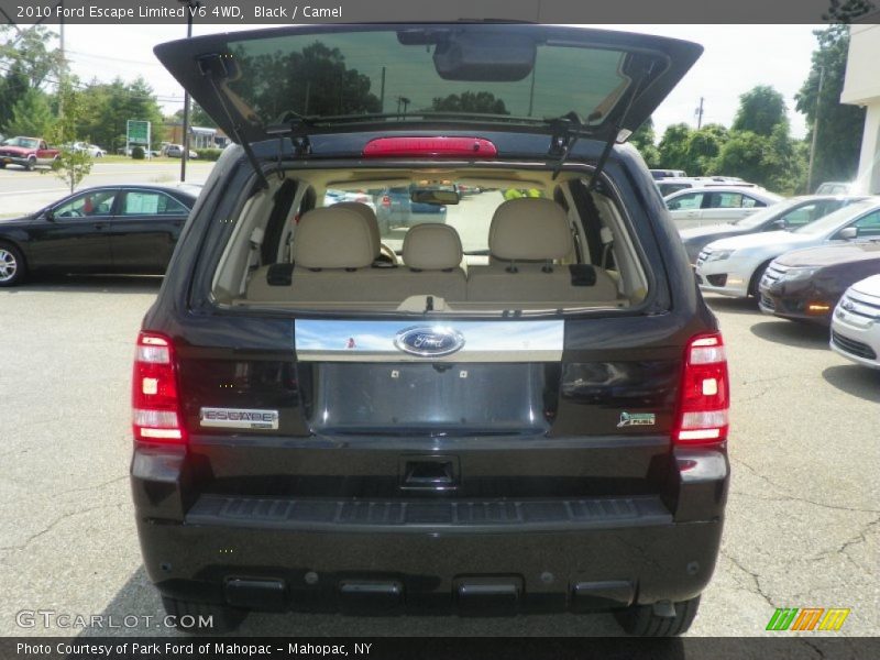Black / Camel 2010 Ford Escape Limited V6 4WD