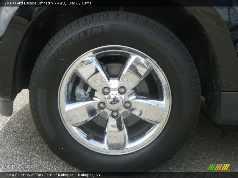 Black / Camel 2010 Ford Escape Limited V6 4WD