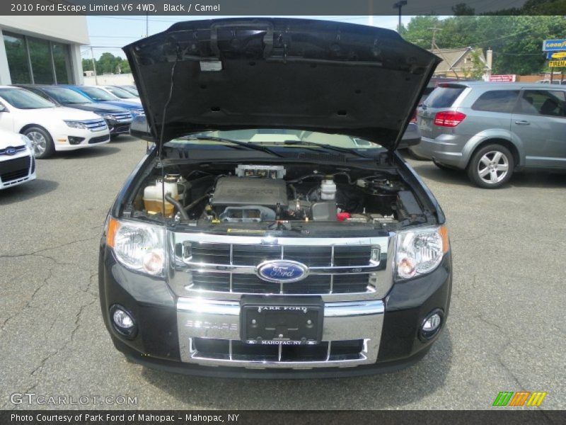 Black / Camel 2010 Ford Escape Limited V6 4WD