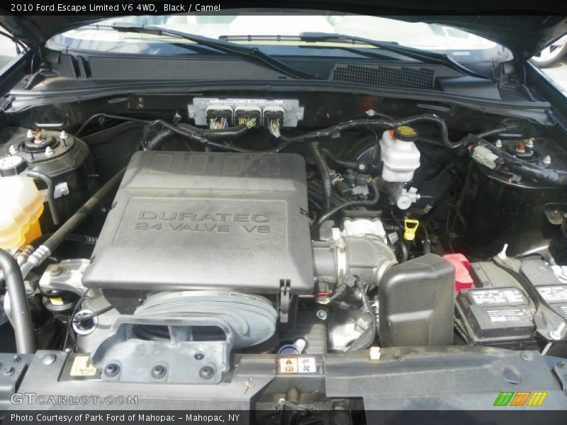 Black / Camel 2010 Ford Escape Limited V6 4WD