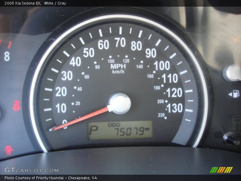 White / Gray 2006 Kia Sedona EX