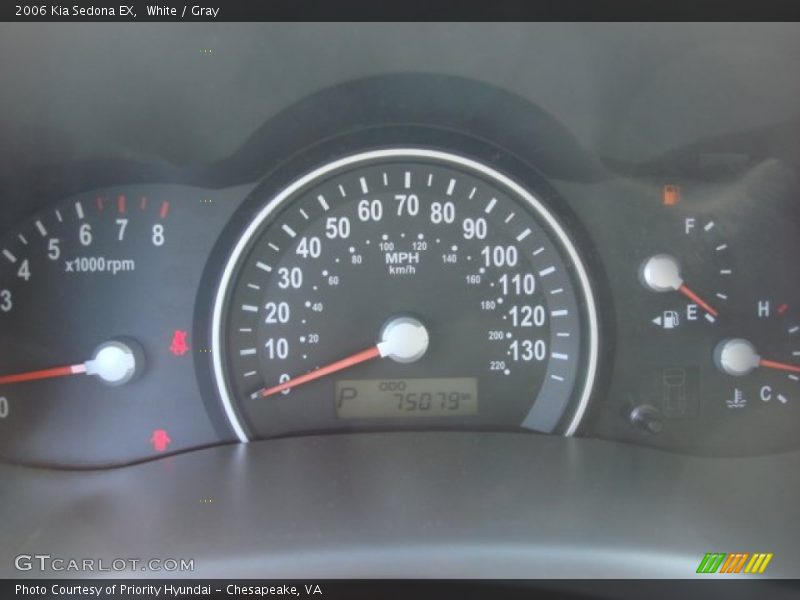 White / Gray 2006 Kia Sedona EX