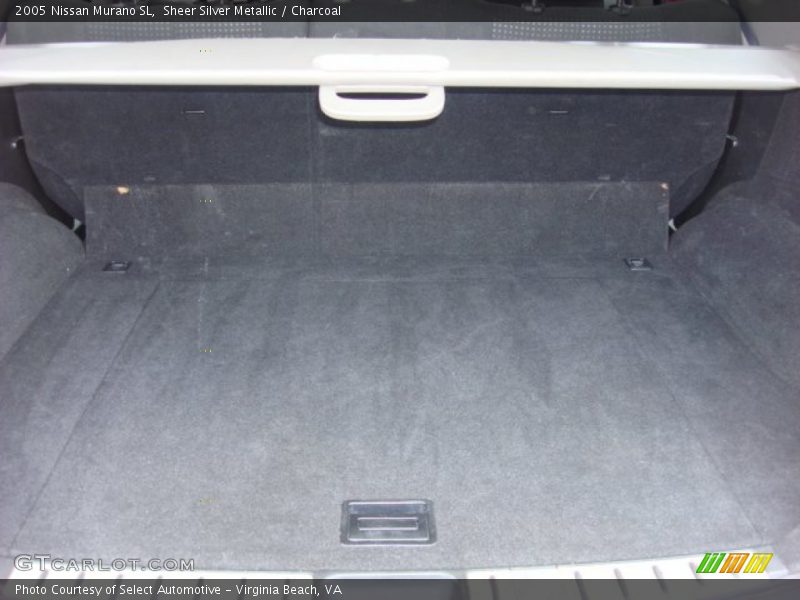 Sheer Silver Metallic / Charcoal 2005 Nissan Murano SL