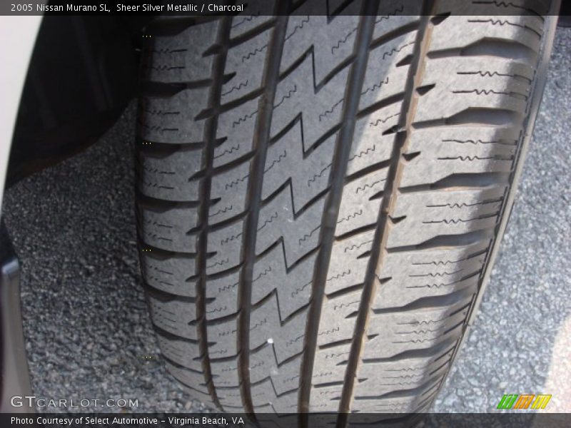 Sheer Silver Metallic / Charcoal 2005 Nissan Murano SL