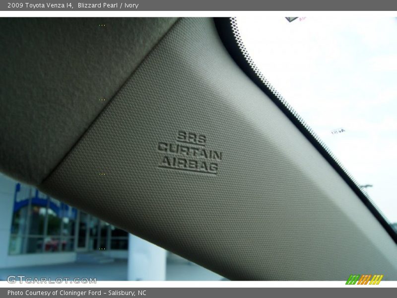 Blizzard Pearl / Ivory 2009 Toyota Venza I4