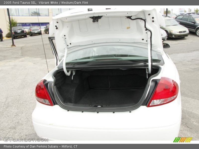 Vibrant White / Medium/Dark Flint 2005 Ford Taurus SEL