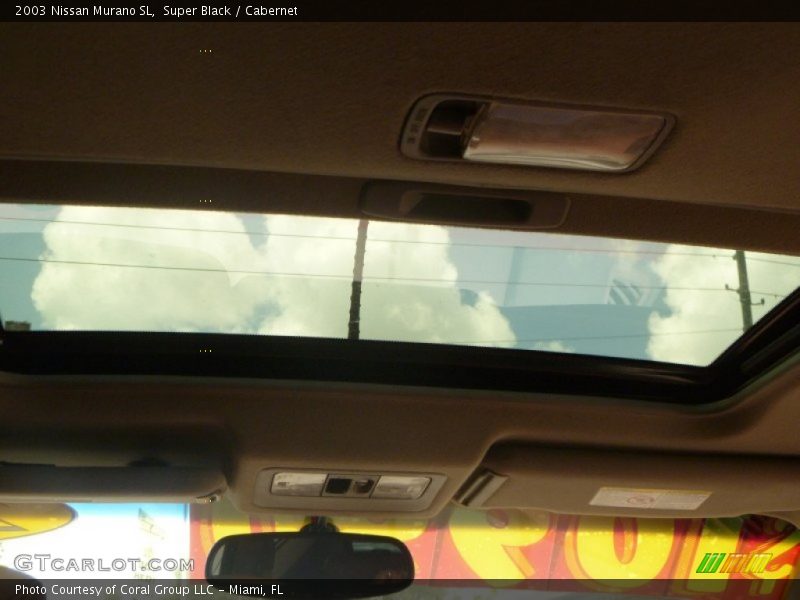 Super Black / Cabernet 2003 Nissan Murano SL