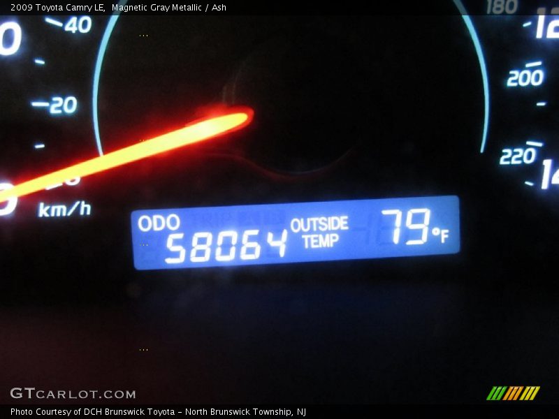 Magnetic Gray Metallic / Ash 2009 Toyota Camry LE
