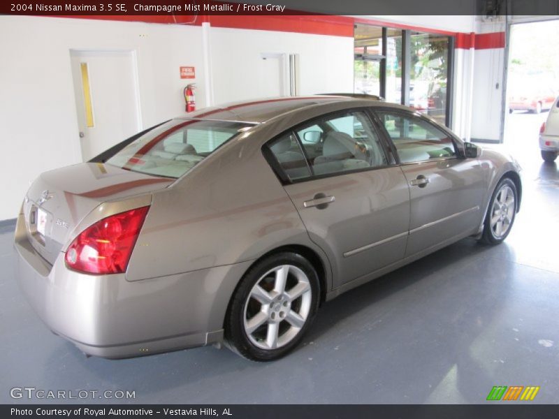 Champagne Mist Metallic / Frost Gray 2004 Nissan Maxima 3.5 SE