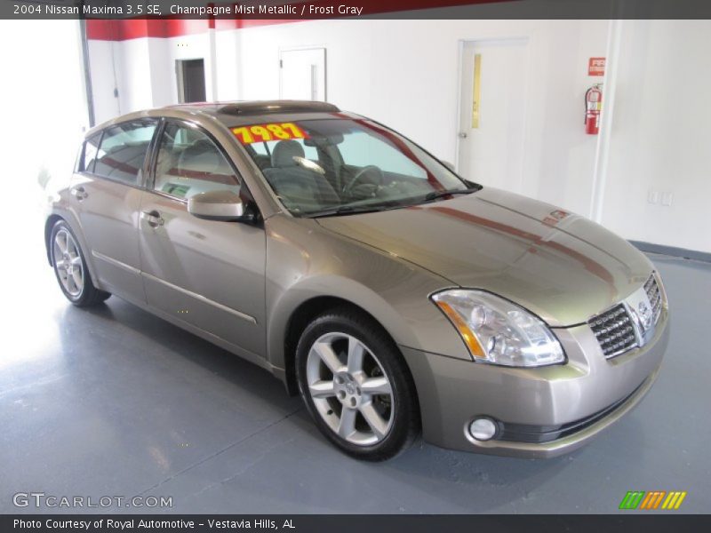 Champagne Mist Metallic / Frost Gray 2004 Nissan Maxima 3.5 SE