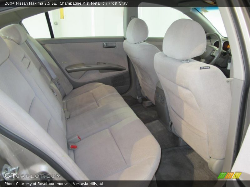 Champagne Mist Metallic / Frost Gray 2004 Nissan Maxima 3.5 SE