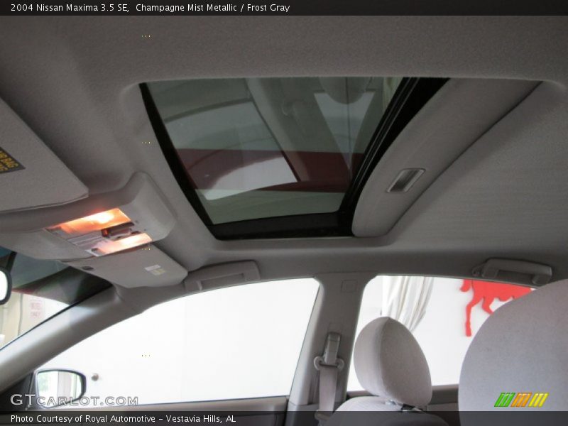 Champagne Mist Metallic / Frost Gray 2004 Nissan Maxima 3.5 SE