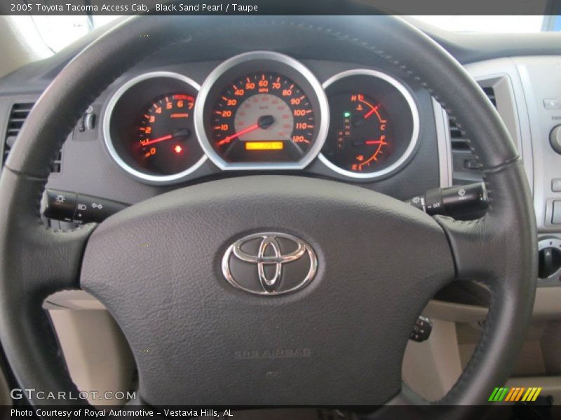 Black Sand Pearl / Taupe 2005 Toyota Tacoma Access Cab