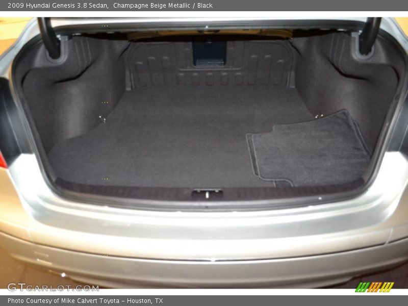 Champagne Beige Metallic / Black 2009 Hyundai Genesis 3.8 Sedan