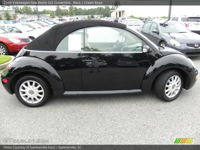 Black / Cream Beige 2004 Volkswagen New Beetle GLS Convertible
