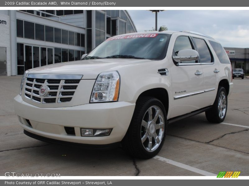White Diamond / Ebony/Ebony 2009 Cadillac Escalade AWD