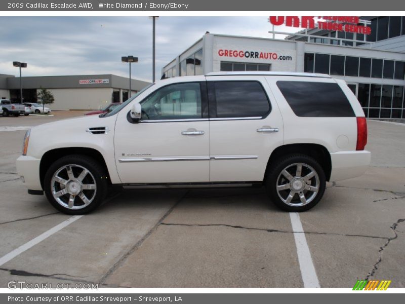 White Diamond / Ebony/Ebony 2009 Cadillac Escalade AWD