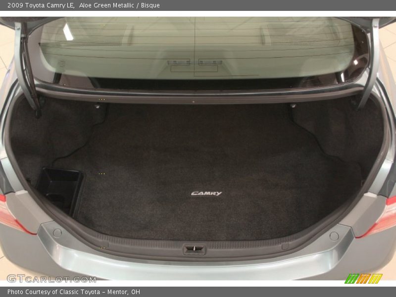 Aloe Green Metallic / Bisque 2009 Toyota Camry LE