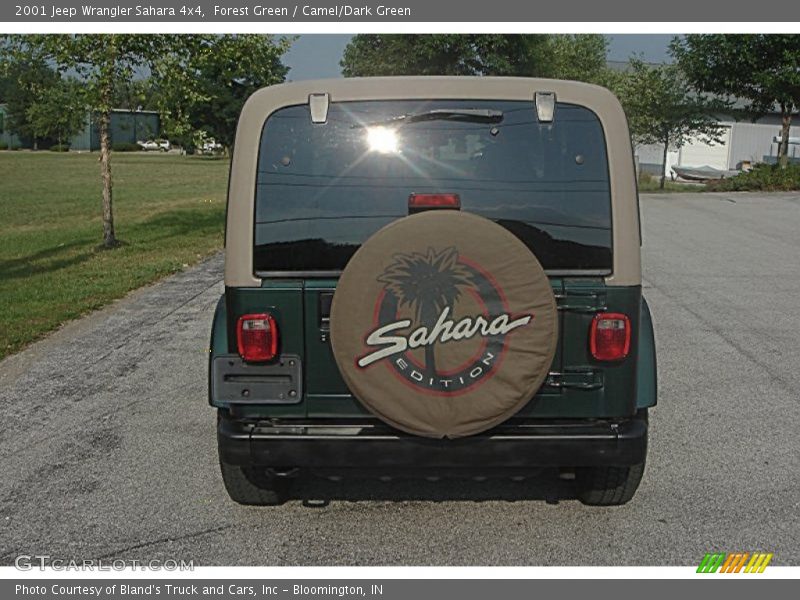 Forest Green / Camel/Dark Green 2001 Jeep Wrangler Sahara 4x4