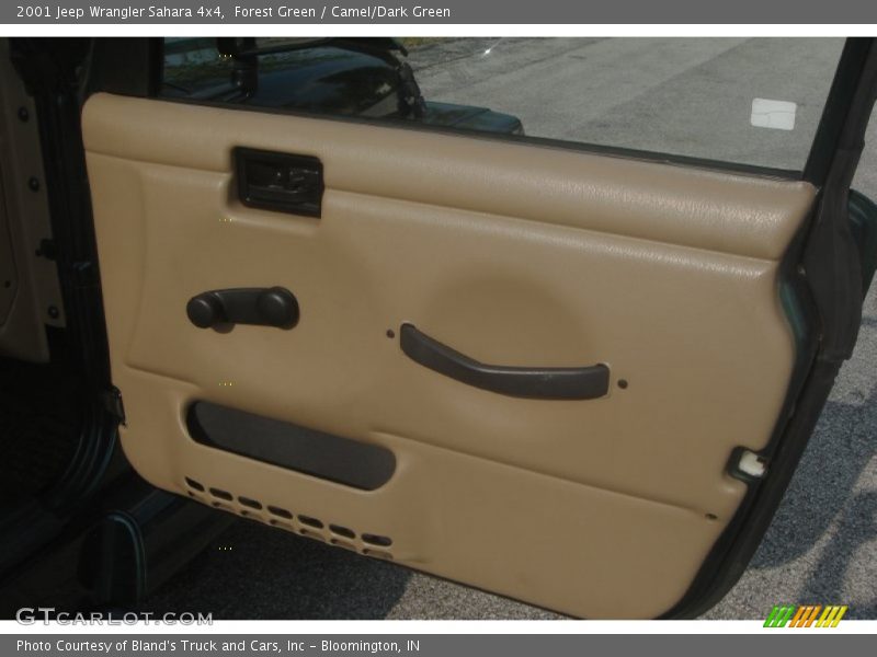 Forest Green / Camel/Dark Green 2001 Jeep Wrangler Sahara 4x4