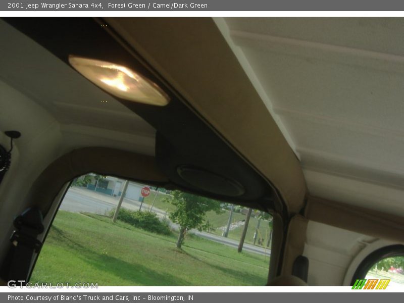 Forest Green / Camel/Dark Green 2001 Jeep Wrangler Sahara 4x4