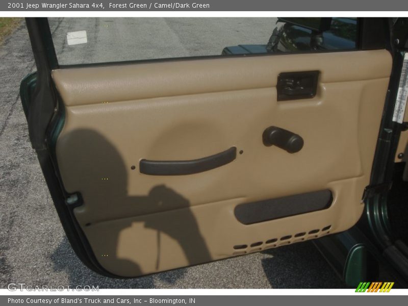 Forest Green / Camel/Dark Green 2001 Jeep Wrangler Sahara 4x4