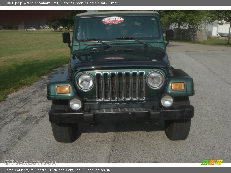Forest Green / Camel/Dark Green 2001 Jeep Wrangler Sahara 4x4