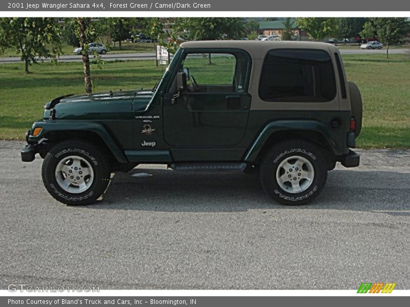 Forest Green / Camel/Dark Green 2001 Jeep Wrangler Sahara 4x4