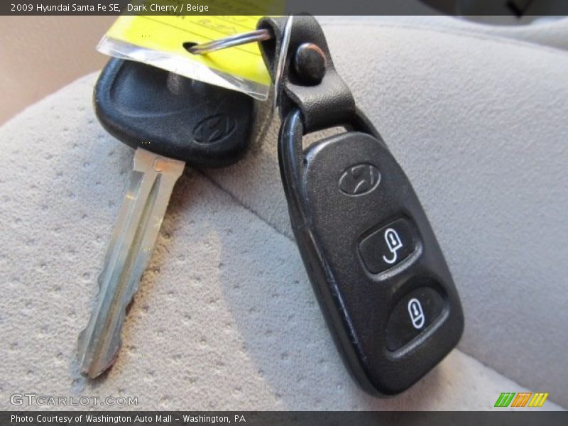 Dark Cherry / Beige 2009 Hyundai Santa Fe SE